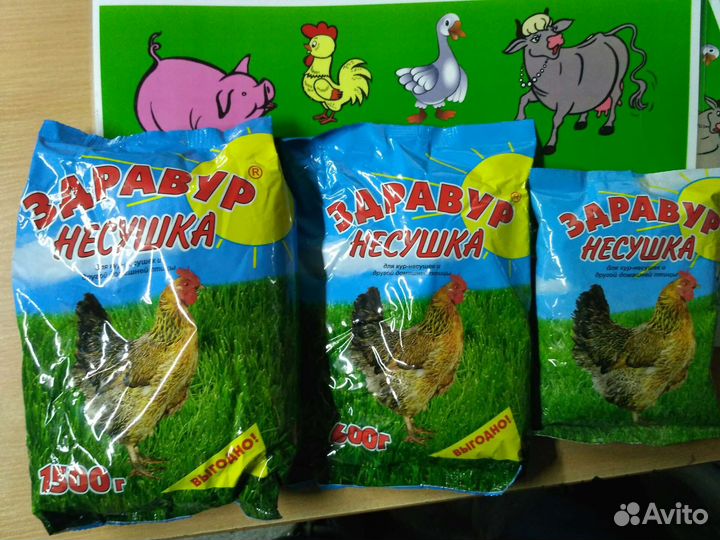 Премикс для кур несушек