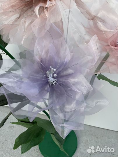 Ростовые цветы