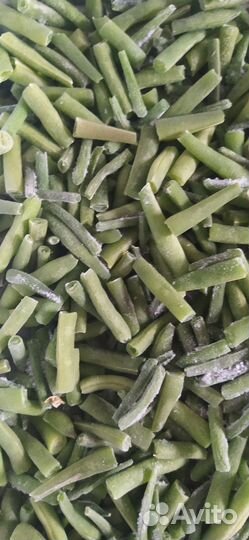 Фасоль стручковая. Семена фасоли кустовой