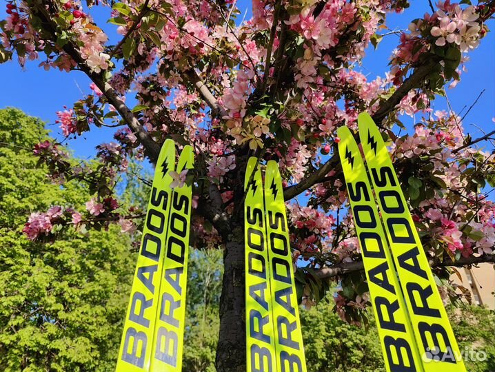 Лыжи беговые Brados Carbon Skate 176