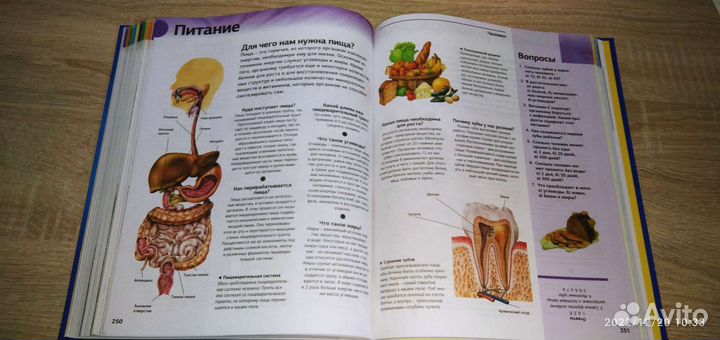 Новая полная энциклопедия школьника