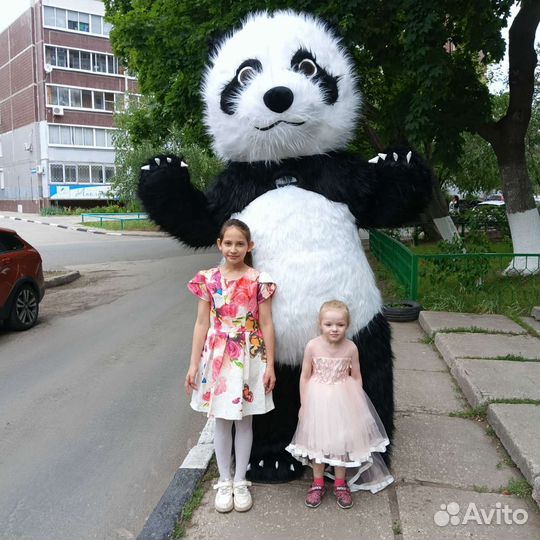 Надувная панда 2.6м. Поздравление, Аниматор