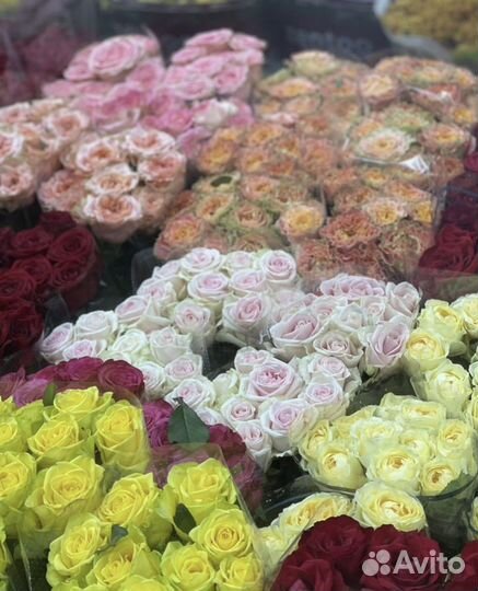 101 роза букет цветы