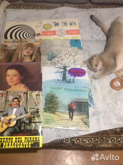 Виниловые пластинки 30штук