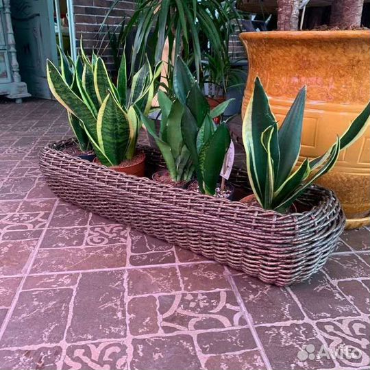 Кашпо из ротанга