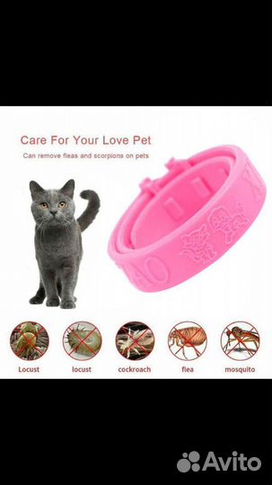 Принадлежности для маленького друга