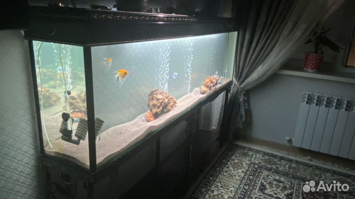 Аквариум 380л