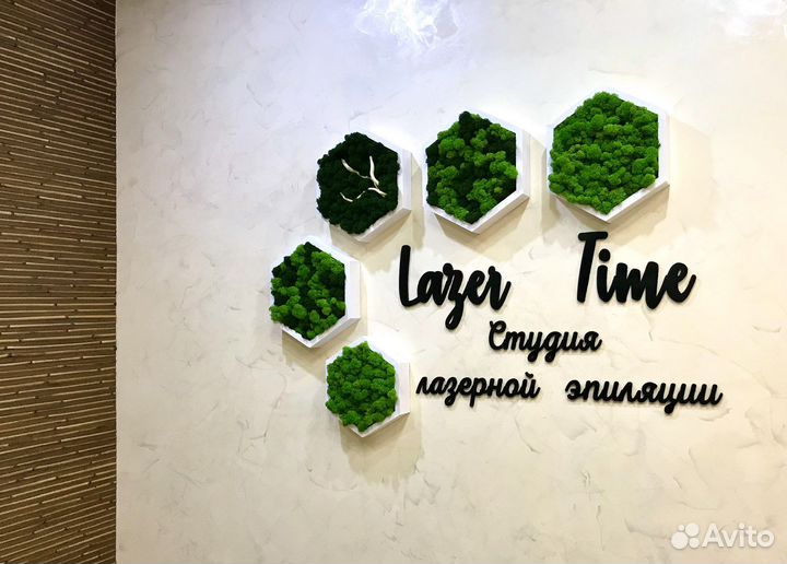 Мох.Картины. Соты.Озеленение.Фитостена.Дизайн