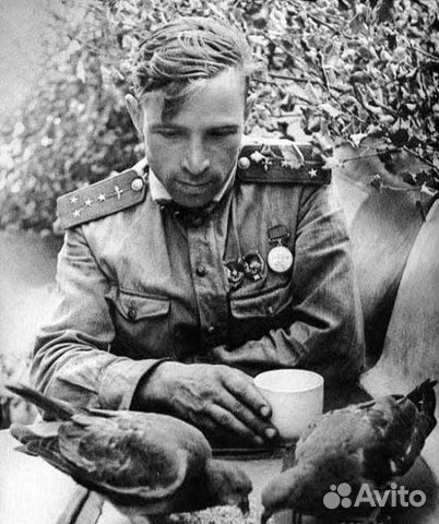 Фотовидеоархив