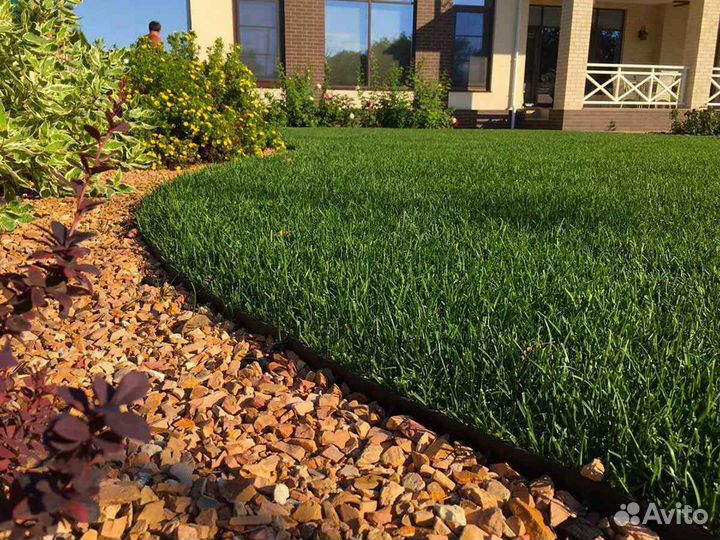 Рулонный газон элитный