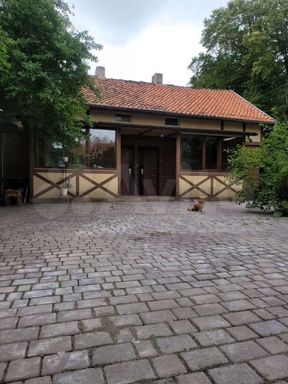 Дом 54 м² на участке 4 сот.