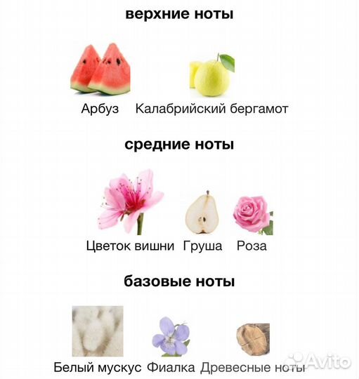 Guerlain aqua allegoria flora cherrysia