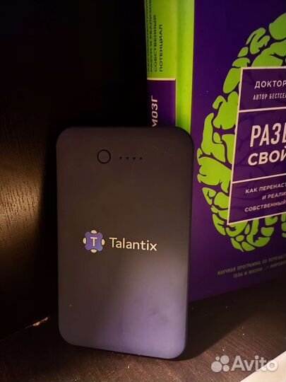 Powerbank Talantix