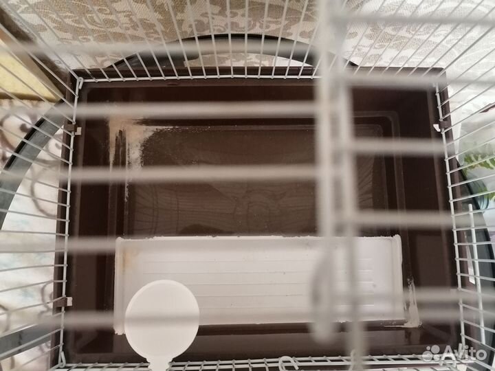 Клетка для грызунов бу