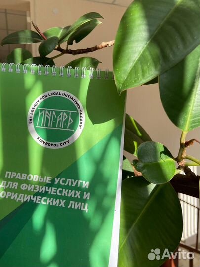 Снятие запретов и ограничений