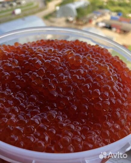 Икра Кеты 500 г. Сахалин