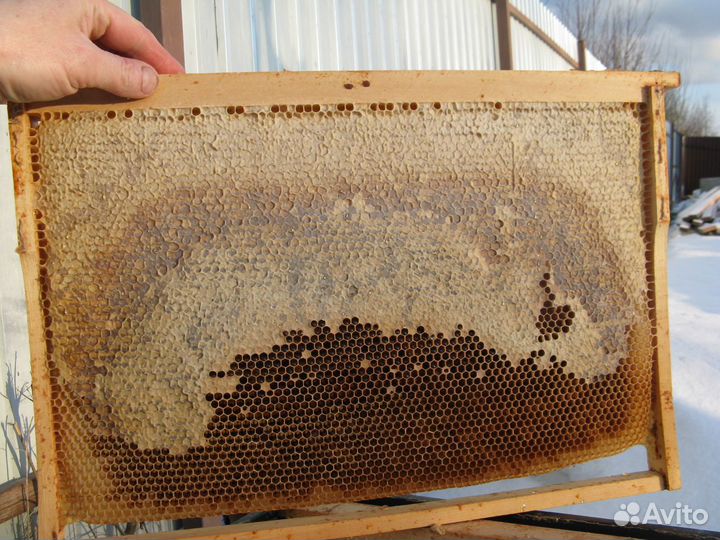 Кормовые рамки для пчёл