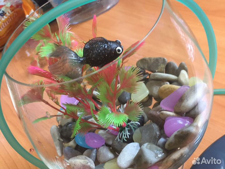 Аквариум бокал