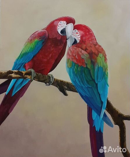 Попугаи Ara macao Картина
