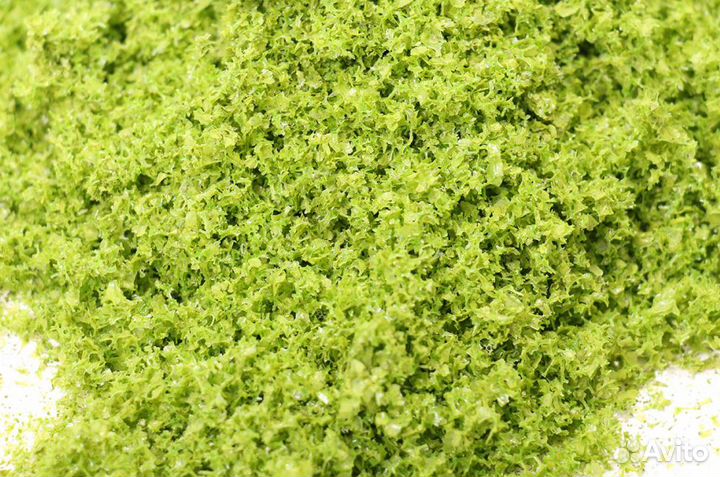 Дополнение к моделям Morrison 001-FR-001