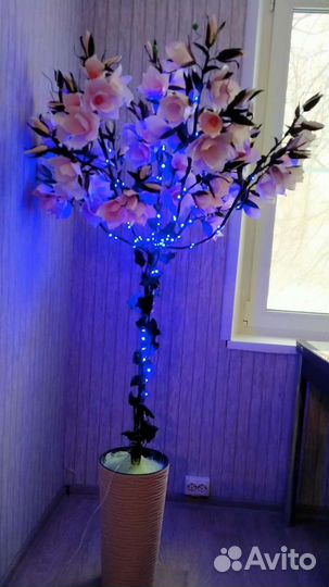 Магнолия-дерево