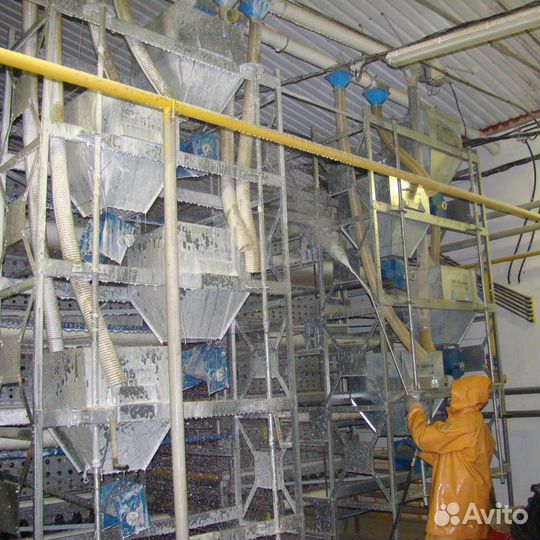 Мойщик на птицефабрику - вахта в Бийске