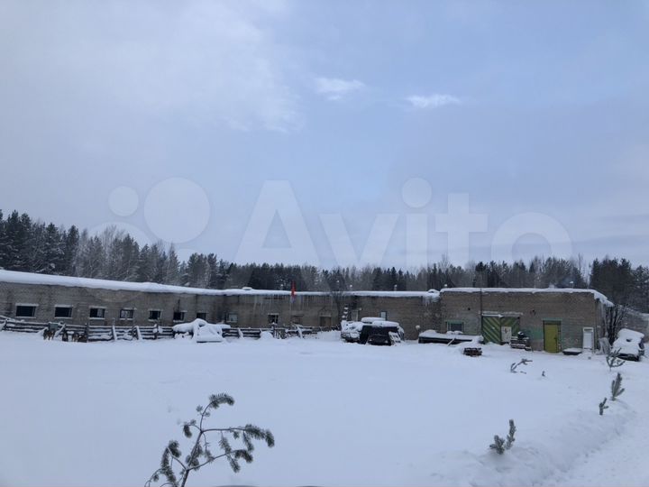 Дом 500 м² на участке 10 га