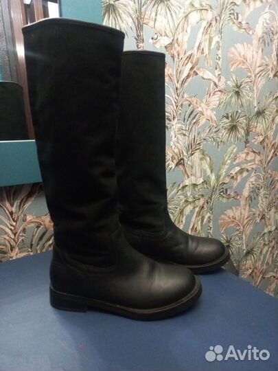 Сапоги tendance зима