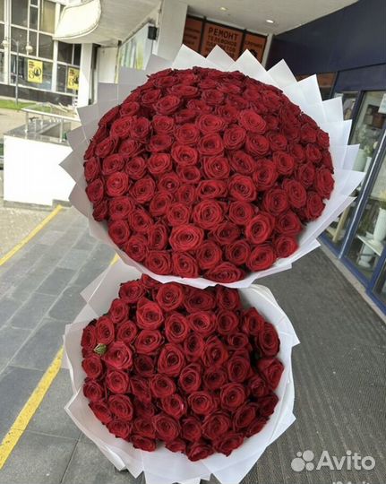 Розы цветы букеты 25 51 101