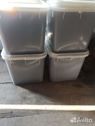 Мёд гречишный