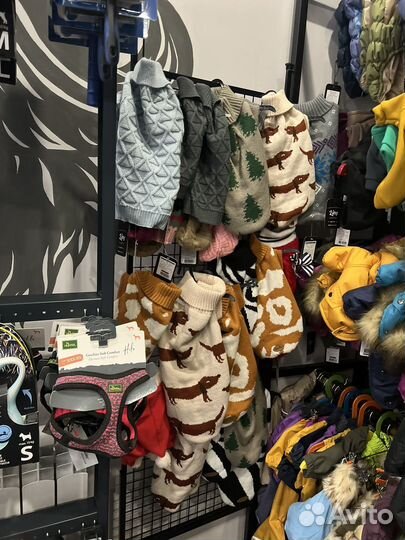 Игрушки и одежда для собак