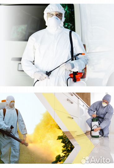 Дезинфекция