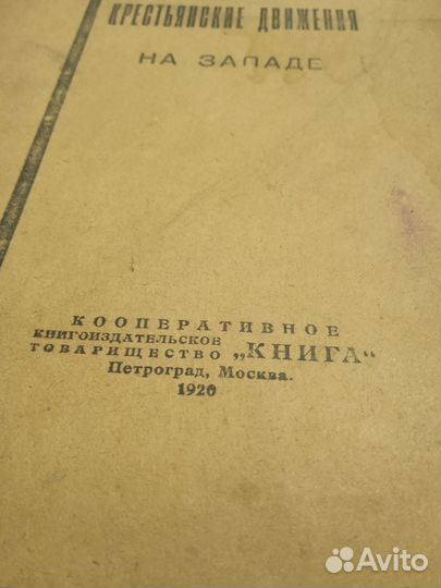 Книга Крестьянские движения на западе 1920г