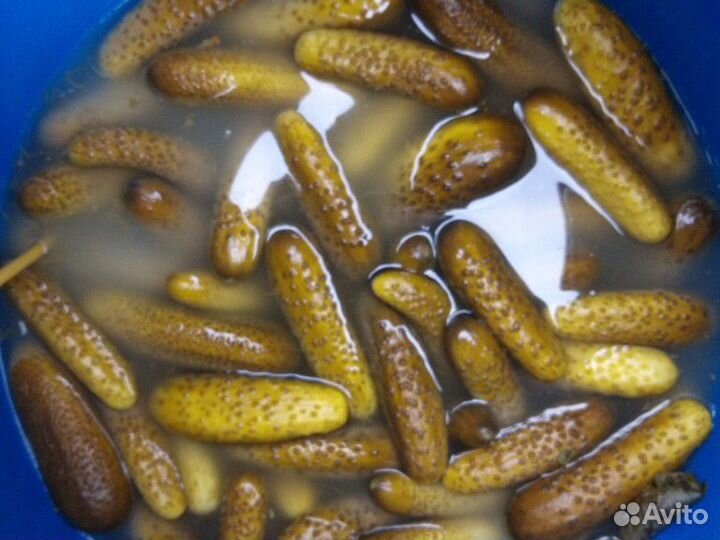 Огурцы солёные бочковые,набираю клиентов