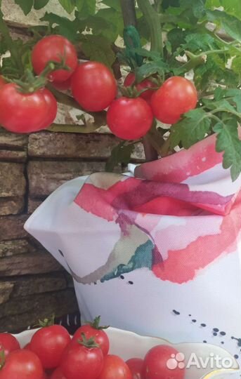 Томаты, помидоры на окно, комнатные 25 см Семена