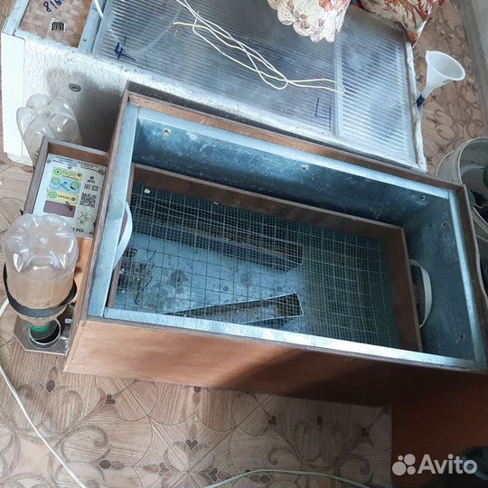 Инкубатор для яиц автоматический бу