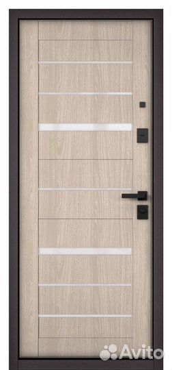 Дверь входная железная в квартиру