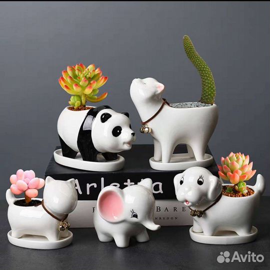 Керамические горшки для суккулентов