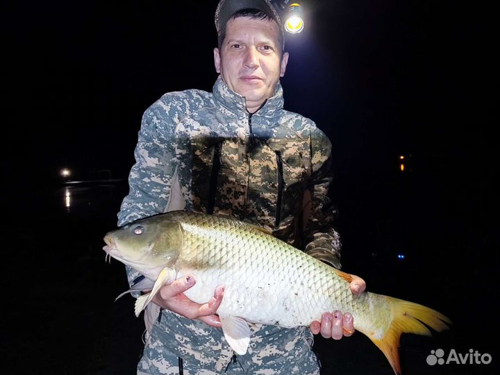 Платная рыбалка