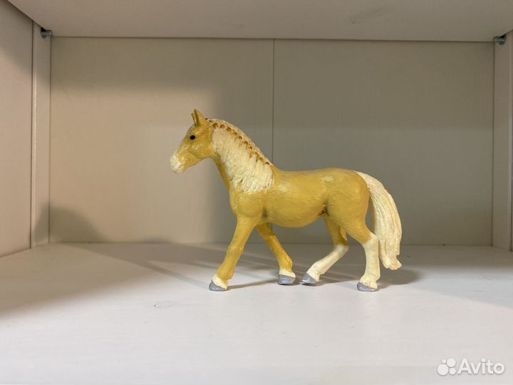 Перекрас Шляйх