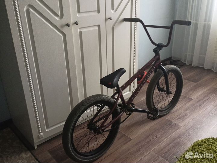 BMX TT grasshopper