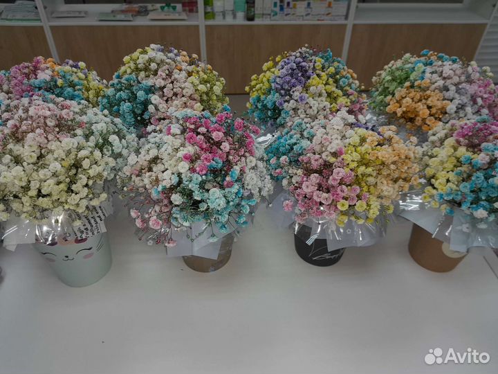 Цветы гипсофила