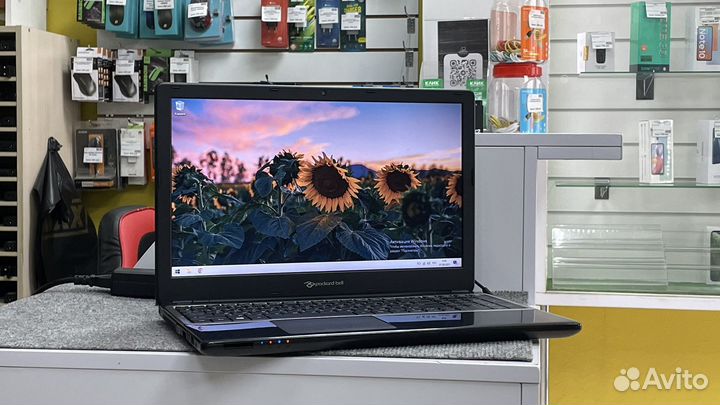 Ноутбук офисный Packard Bell