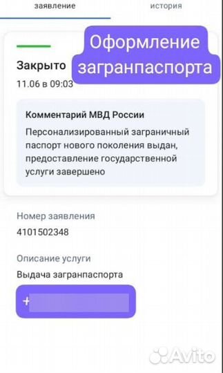 Детские пособия, самозанятость, выплаты, загранпас