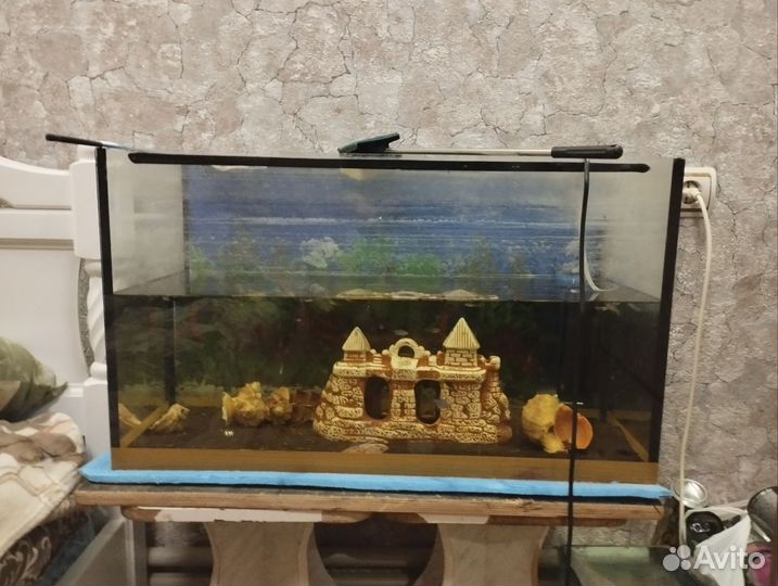 Аквариум