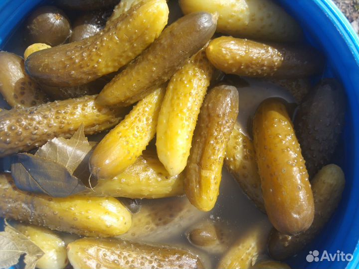 Огурцы бочковые прямого посола