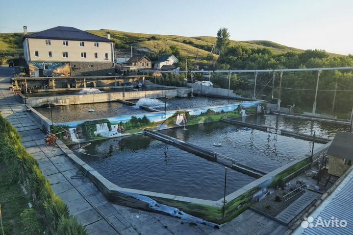 Граффити оформление в Волгограде