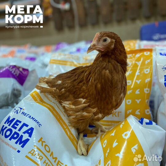 Комбикорм для бройлеров мегакорм