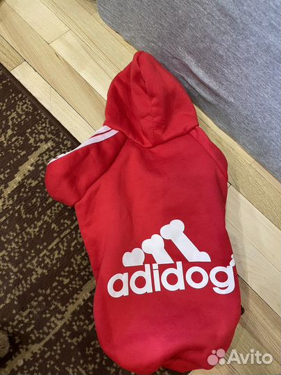 Одежда для собак