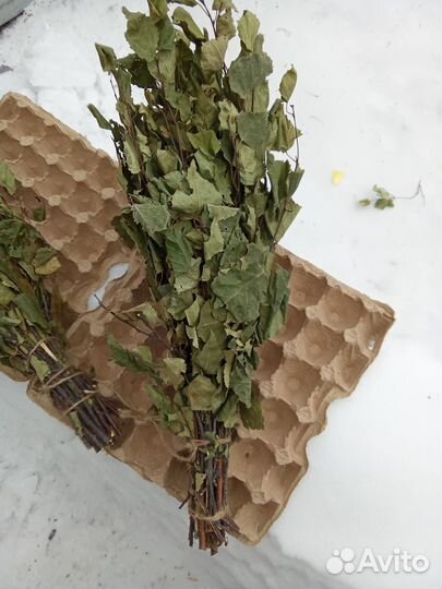 Веники для бани береза